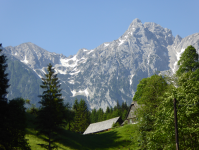 Laussabach 